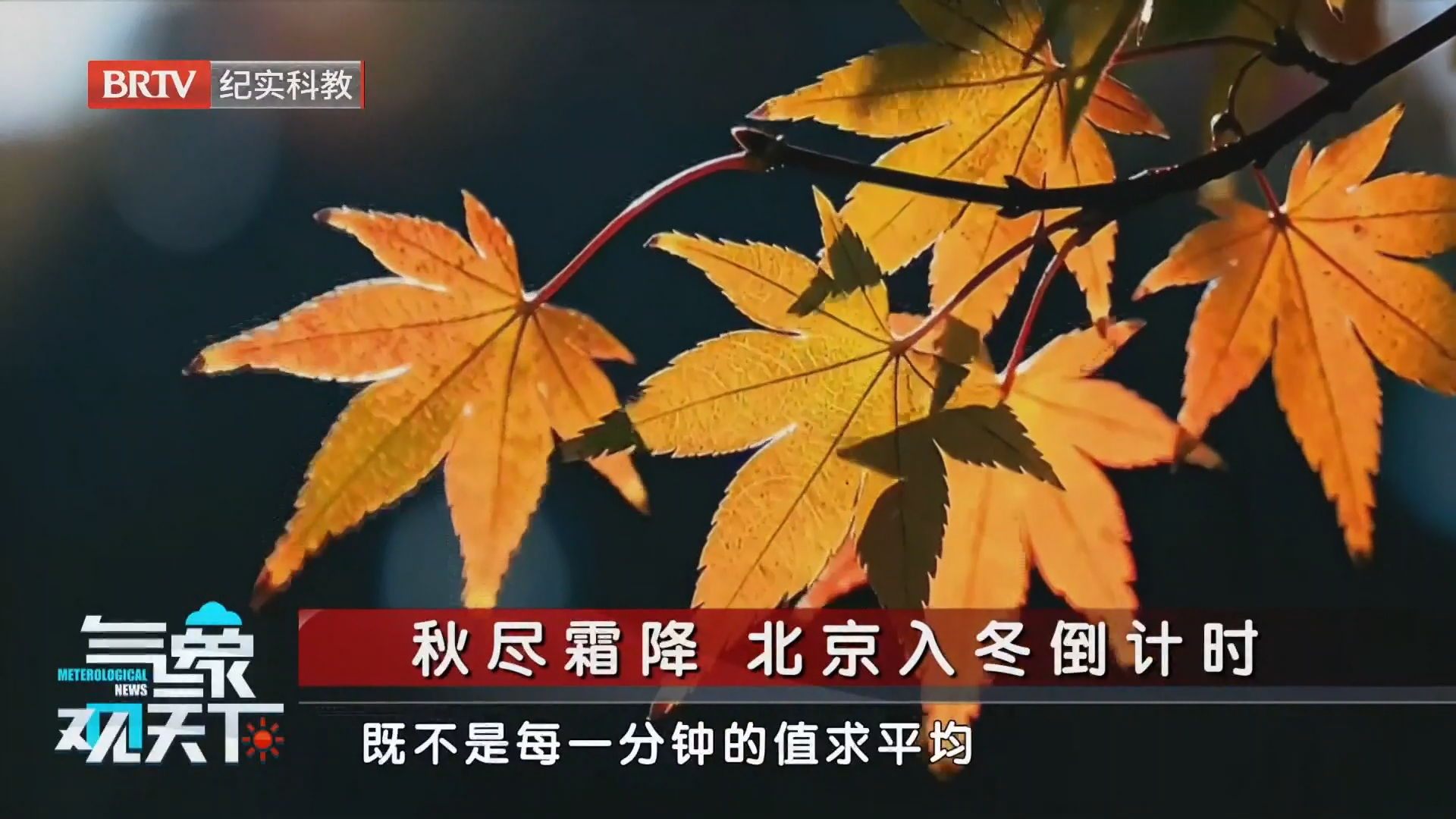 秋尽霜降 北京入冬倒计时