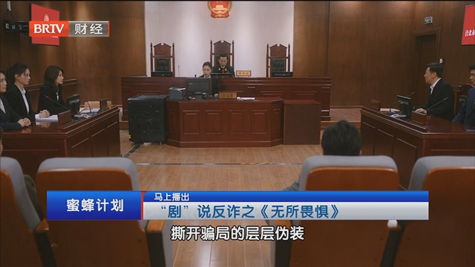 《蜜蜂计划》20260219“剧”说反诈之《无所畏惧》