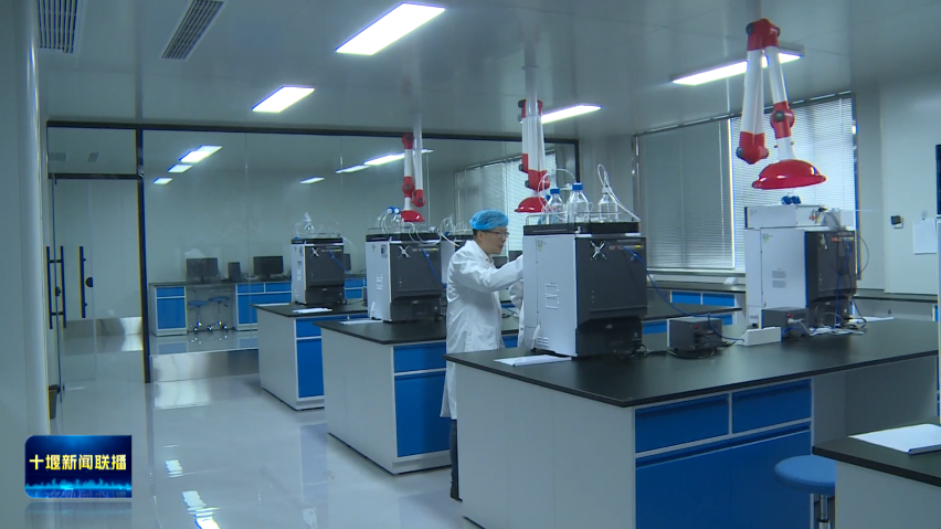 华药（十堰）药业：AI“慧眼”识药 质效大幅提升