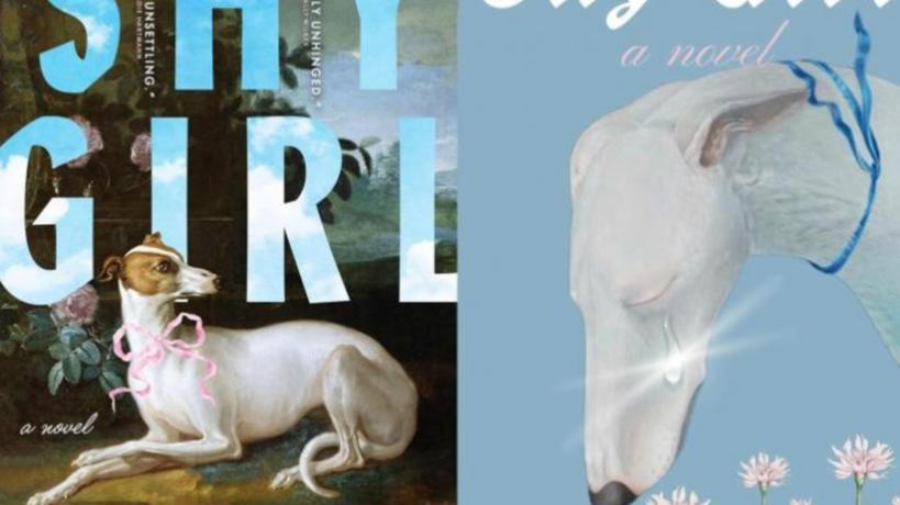 78%的内容由AI生成？书业巨头下架爆款图书