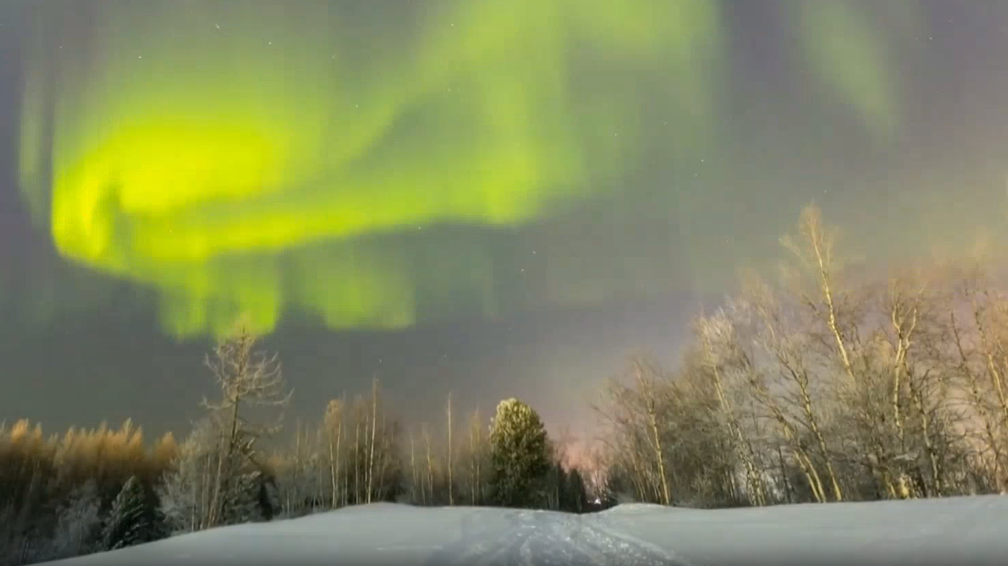 俄罗斯北部地区现北极光 翠绿光带舞动夜空