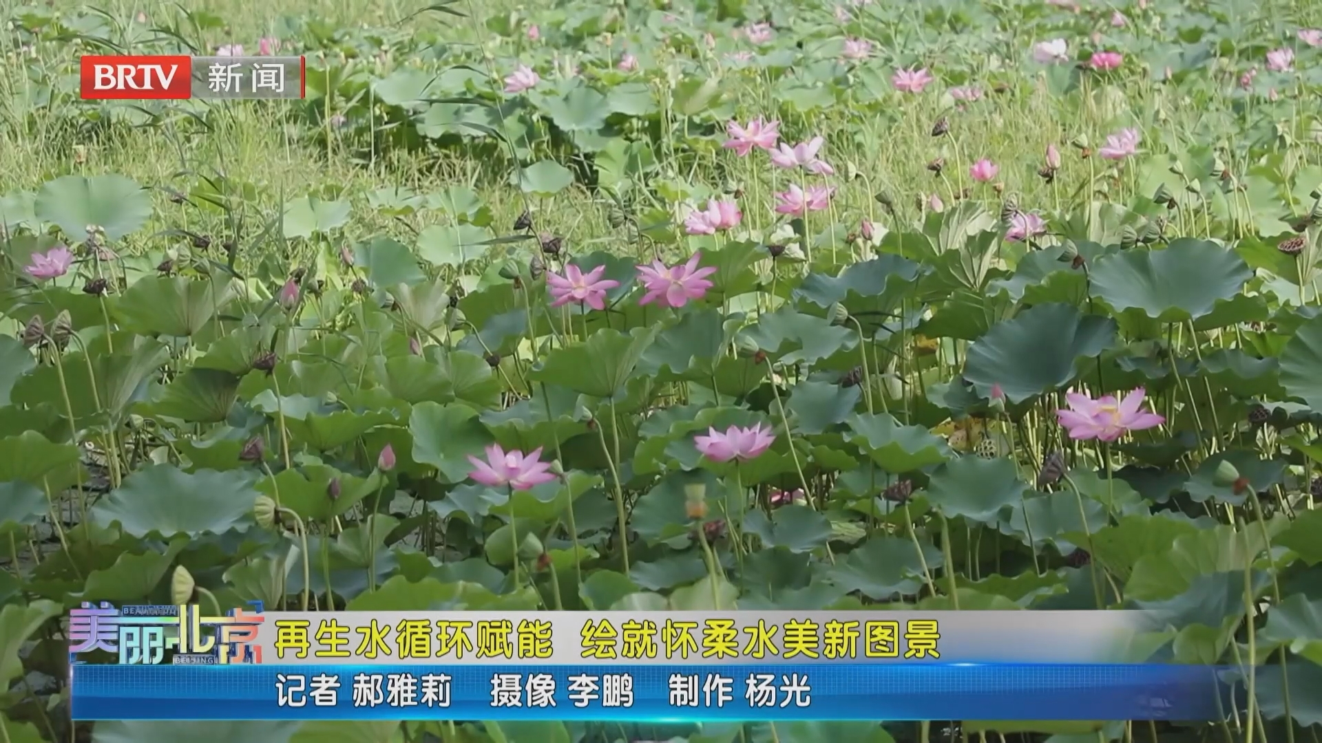 《美丽北京》20260909再生水循环赋能 绘就怀柔水美新图景 《美丽北京》20260909再生水循环赋能 绘就怀柔水美新图景