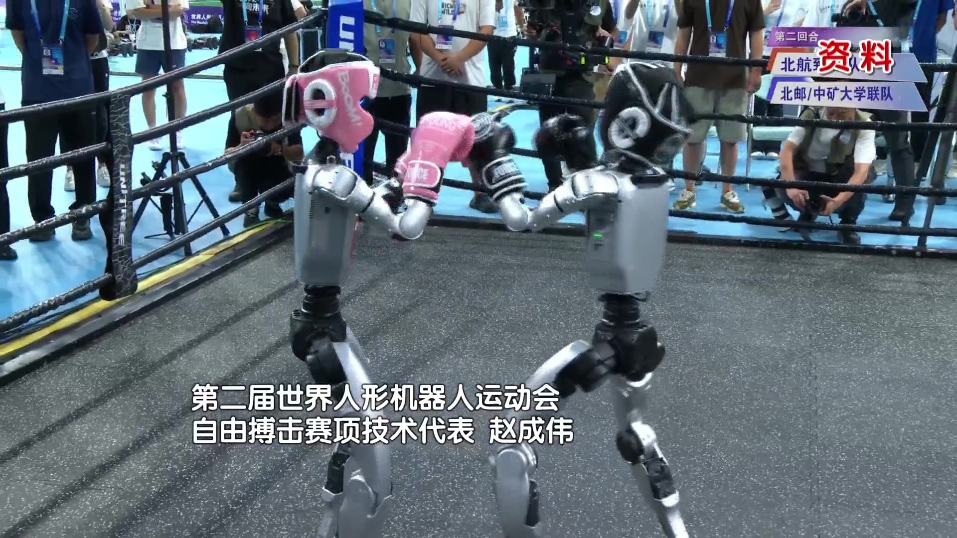 【机器人运动会赛前探营】自由搏击晋升正式项目,倒地超时直接KO 【机器人运动会赛前探营】自由搏击晋升正式项目,倒地超时直接KO