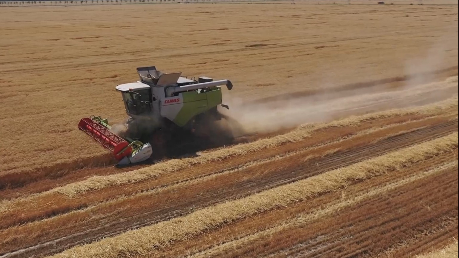 全市“三夏”顺利收官 超额完成全年粮食播种任务 全市“三夏”顺利收官 超额完成全年粮食播种任务