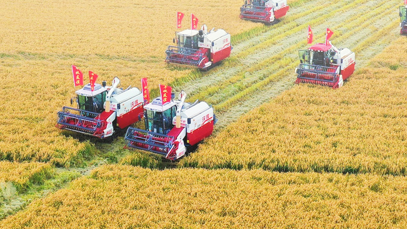 再延长30年!我国全面开展农村承包地二轮到期延包整省试点 再延长30年!我国全面开展农村承包地二轮到期延包整省试点