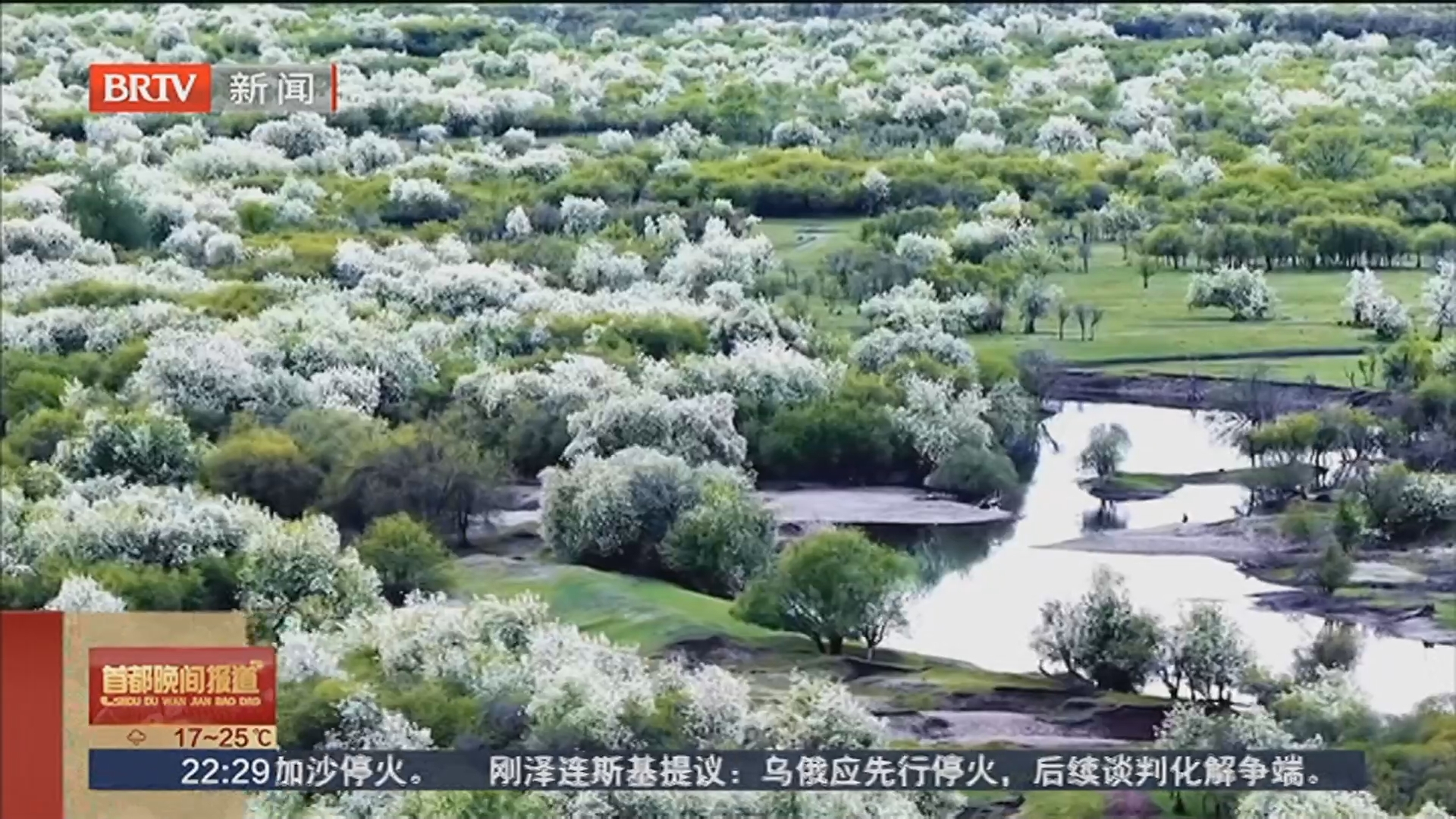 额尔古纳湿地