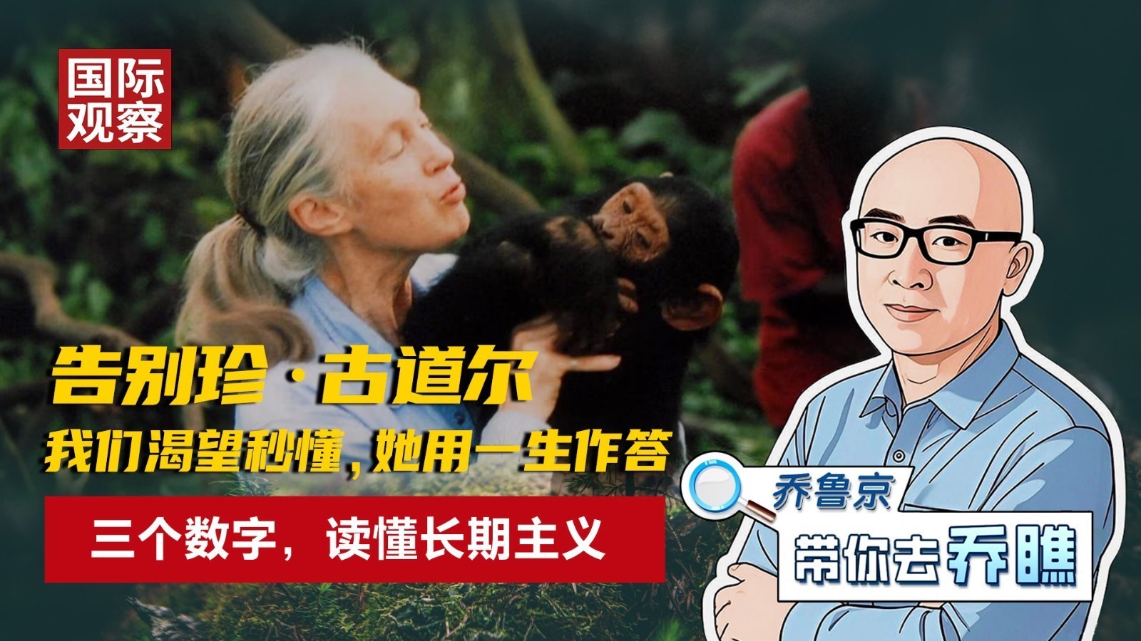 告别珍·古道尔！我们渴望秒懂，她用一生作答。三个数字读懂长期主义