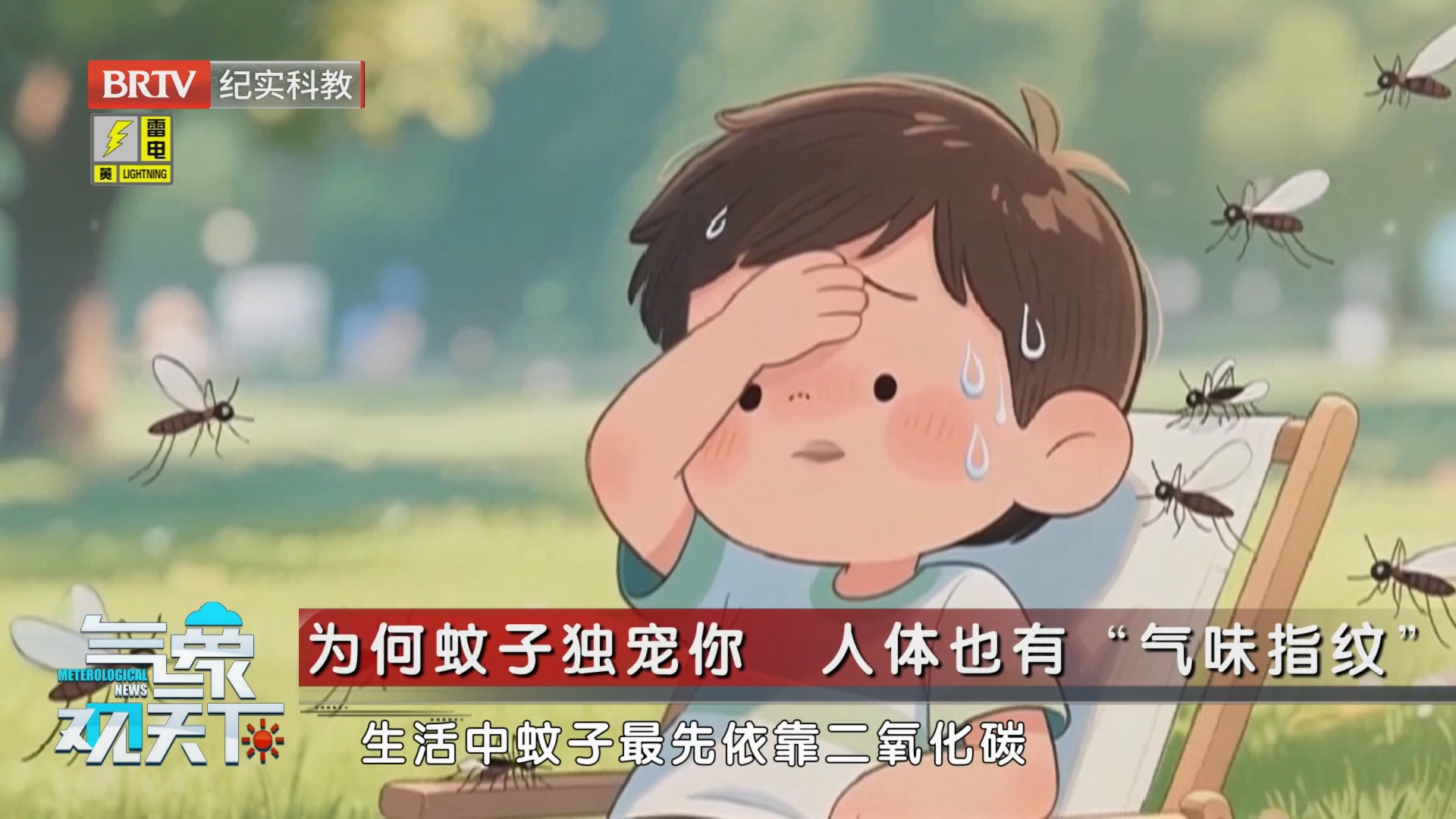 《气象观天下》20260731高温高湿 防蚊要注意