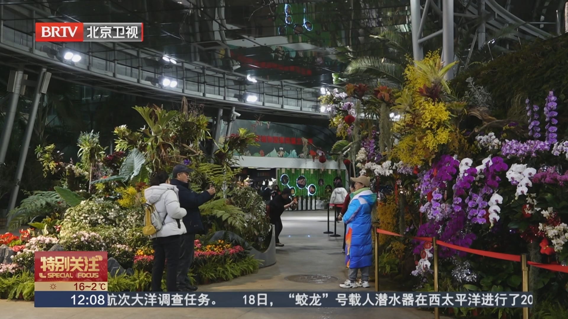 国家植物园新春奇妙夜开启 低温温室首次开放