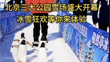 北京三大公园雪场盛大开幕，冰雪狂欢等你来体验