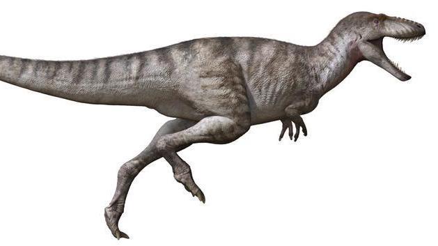 远古发现丨新发现暴龙类恐龙:古生物学家详解“暴龙之吻” 远古发现丨新发现暴龙类恐龙:古生物学家详解“暴龙之吻”