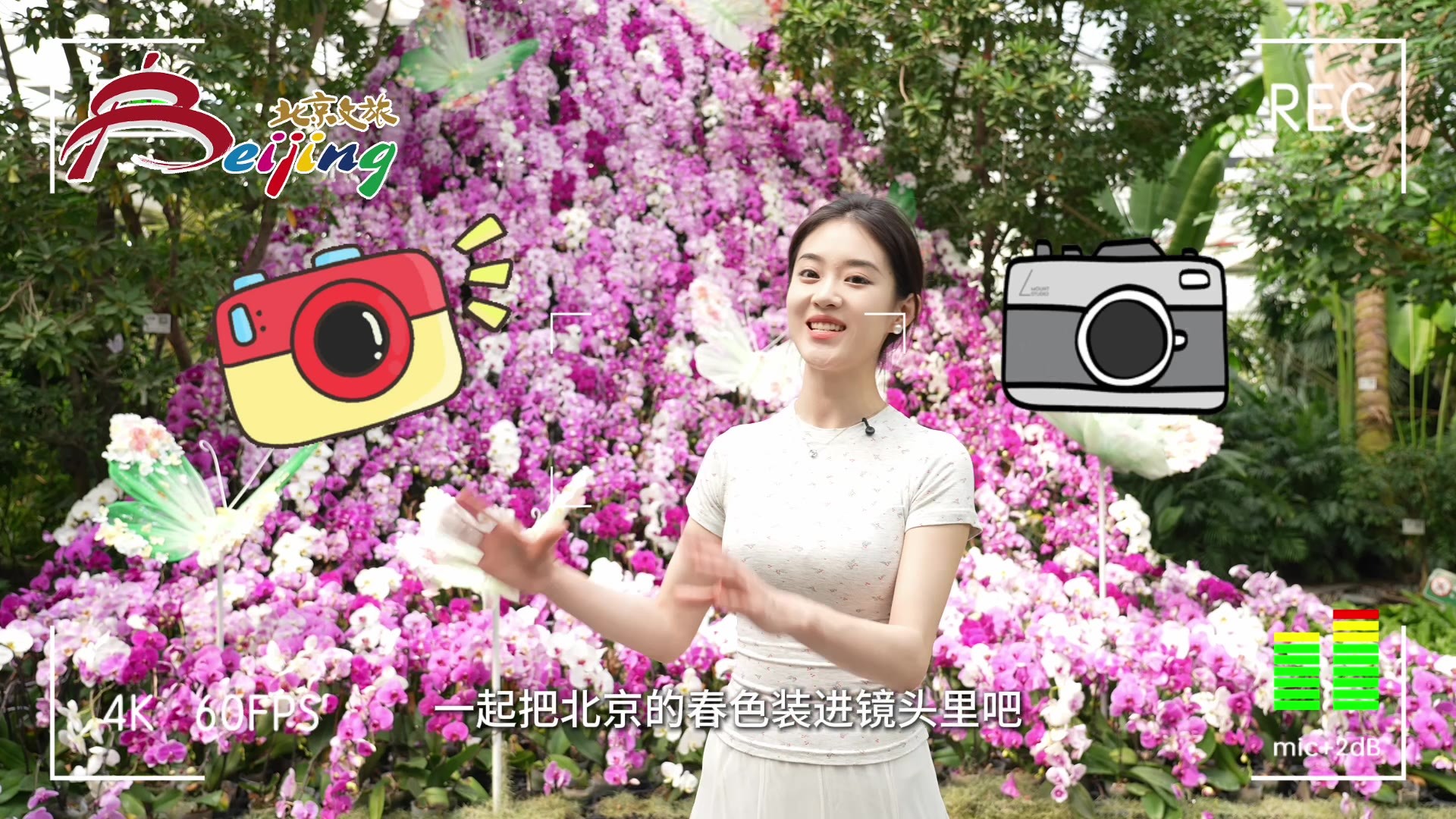 花开四月,畅游北京|花开满京城,随手皆大片 花开四月,畅游北京|花开满京城,随手皆大片