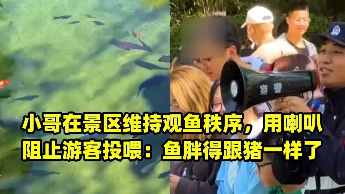 人自觉、景区合理管理，如此人与自然才能和谐相处丨夹叙夹议