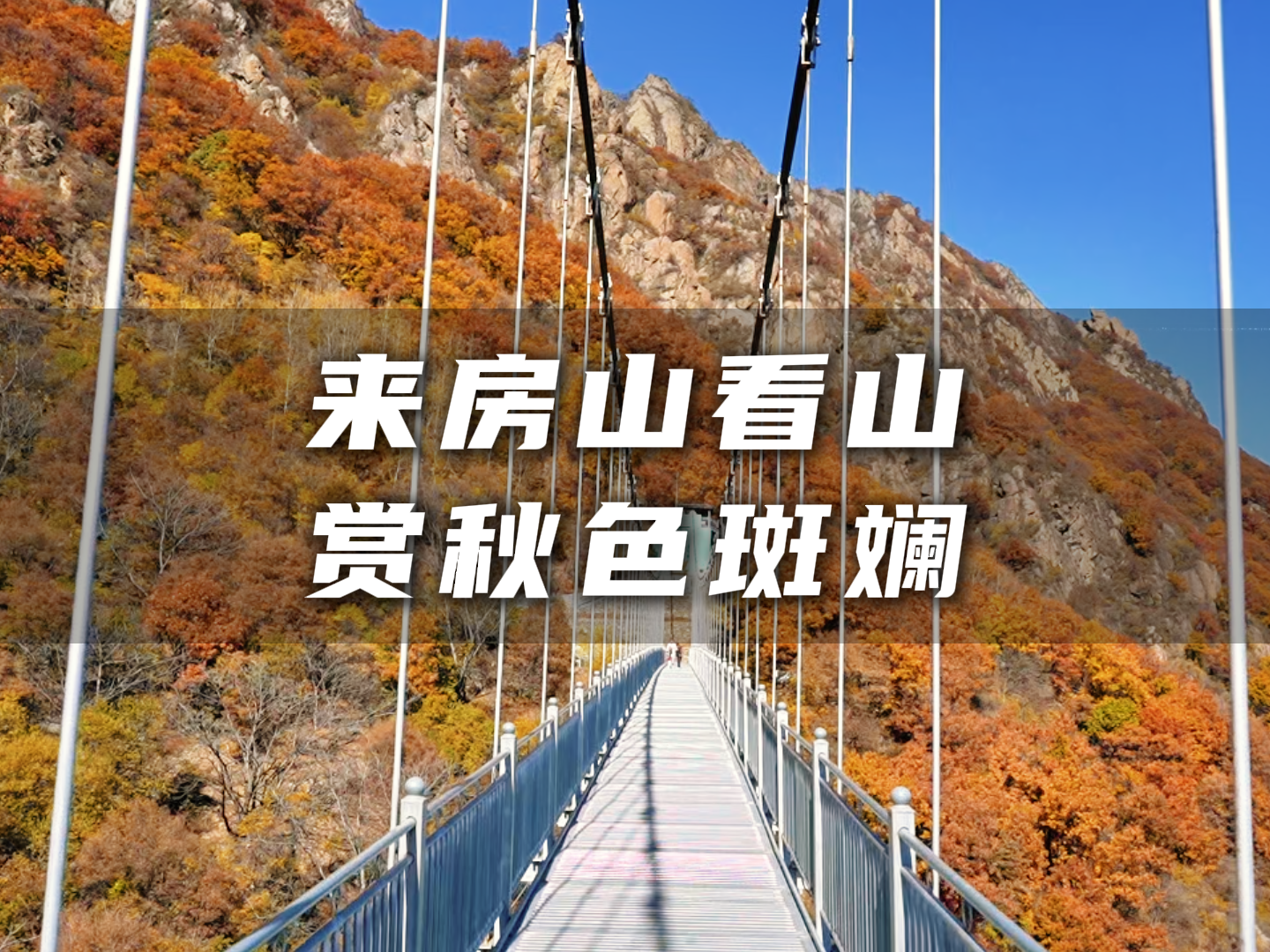 闪身步到了房山的秋天 闪身步到了房山的秋天