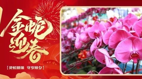 海报｜金蛇迎春！北京顺义给您拜年！
