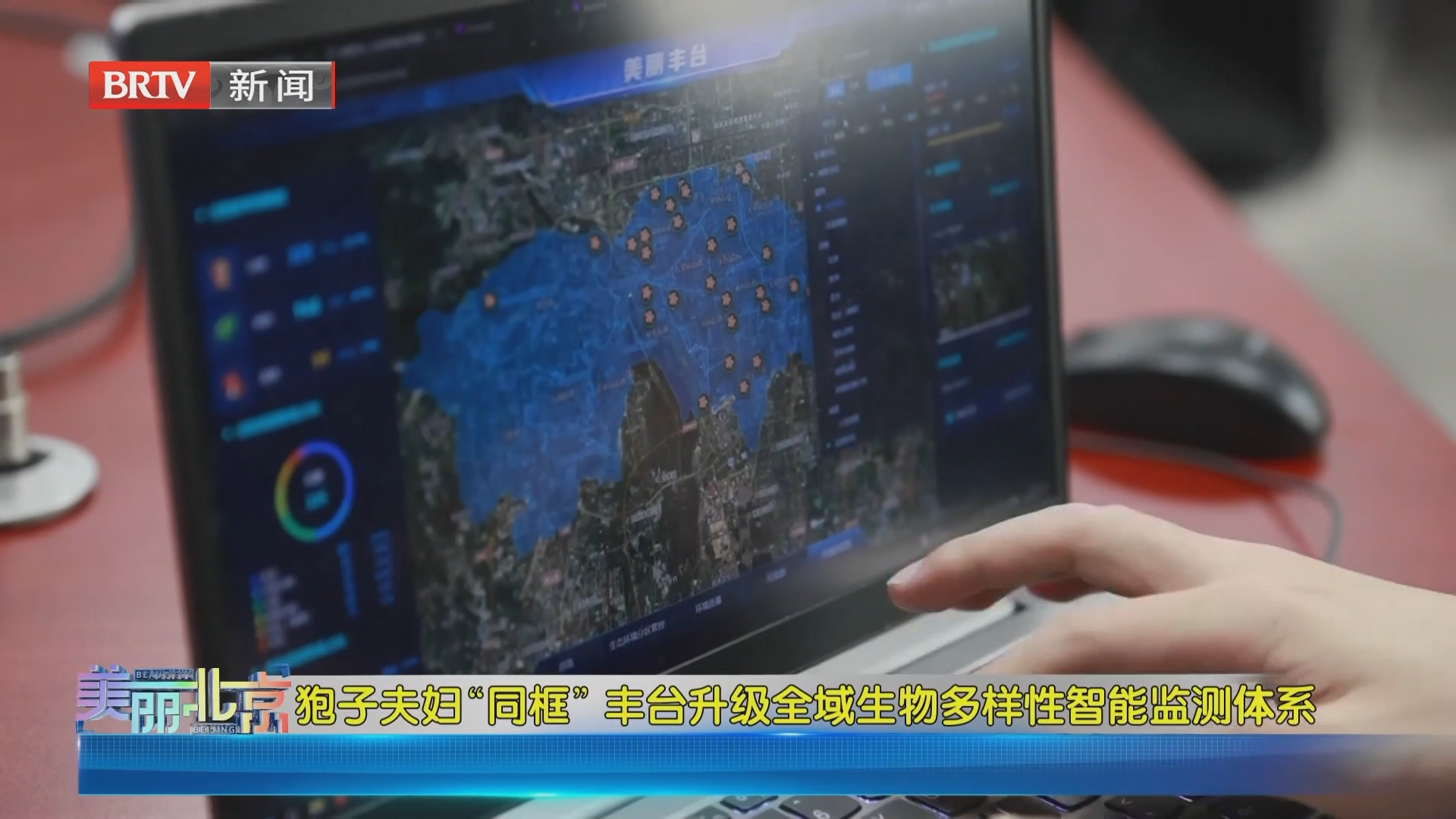 《美丽北京》20261008狍子夫妇“同框” 丰台升级全域生物多样性智能监测体系