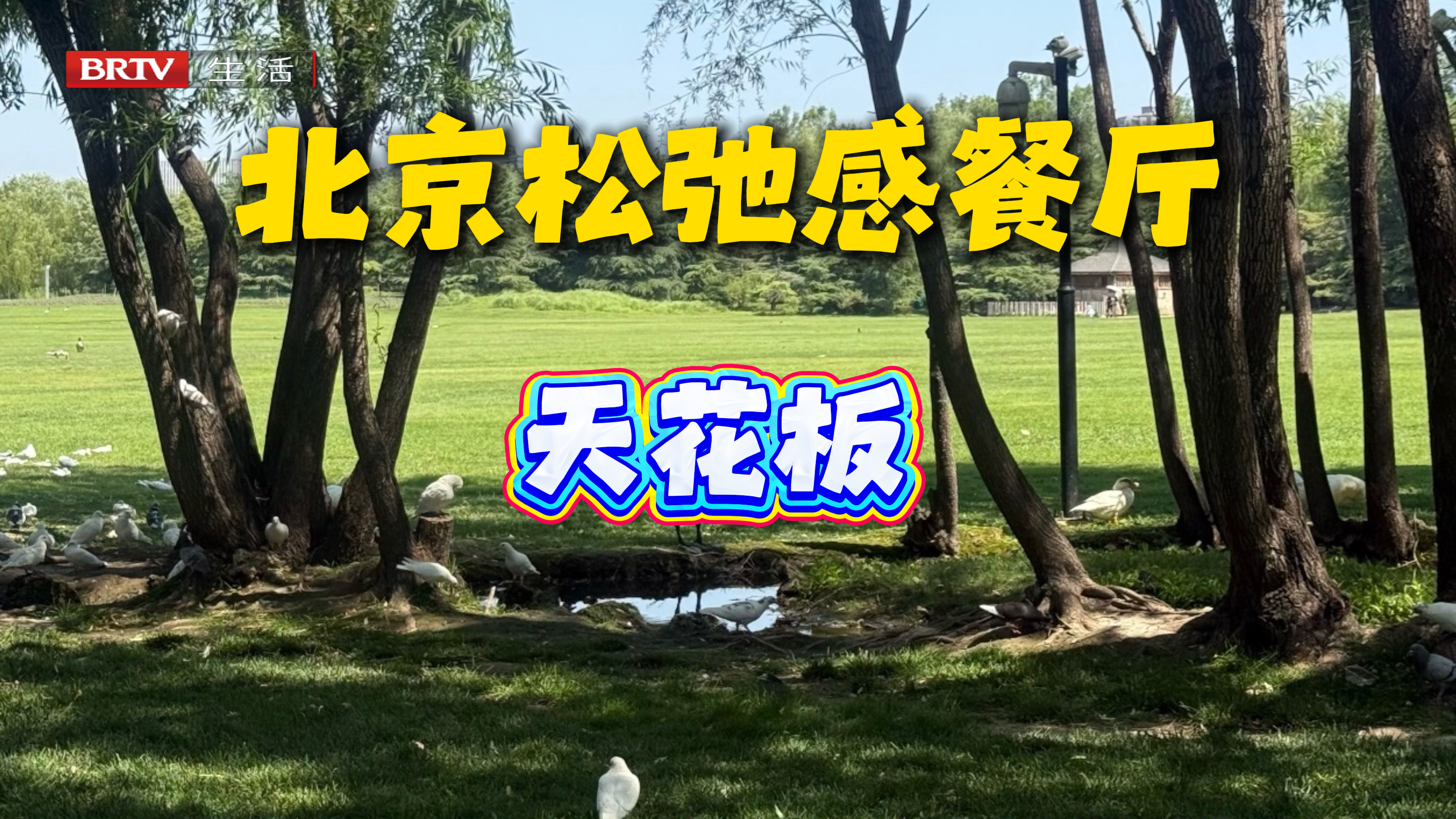 又是被美食治愈的一天!发现了宝藏餐厅,好吃好看还适合拍照打卡! 又是被美食治愈的一天!发现了宝藏餐厅,好吃好看还适合拍照打卡!