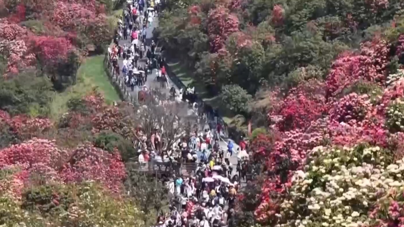 一组数据看清明假期消费需求有力释放