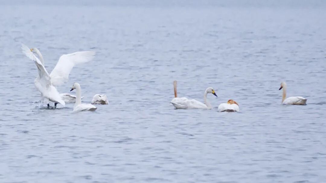 北京房山：又又又又又又又又又又又又又又又又又又又又又又来了！