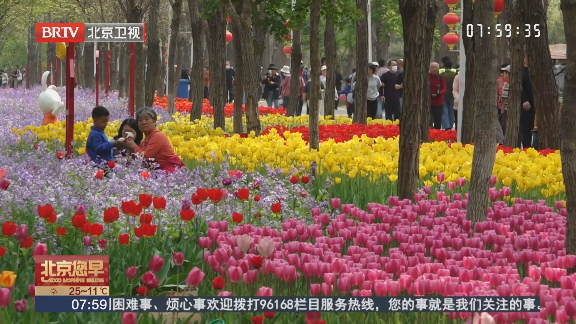 永定河绿色港湾：从“风沙地”到“致富林”的华丽转身