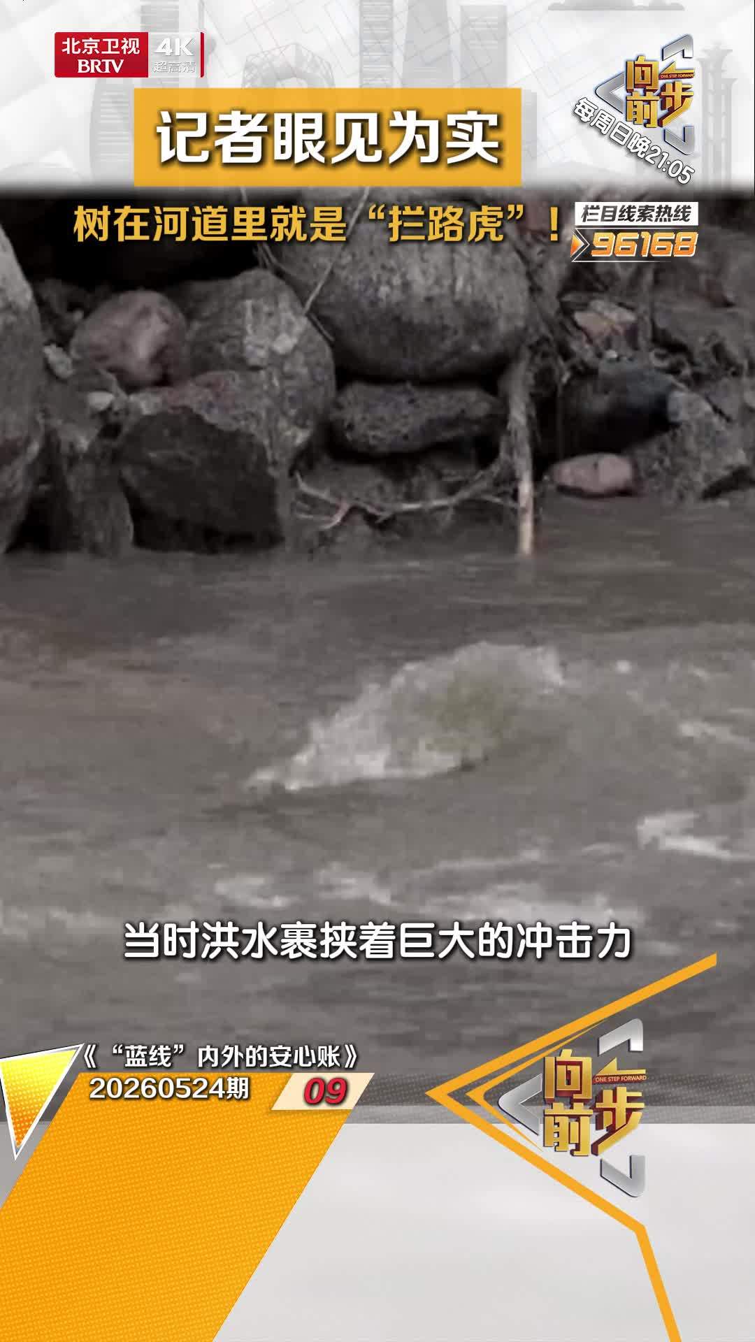 记者眼见为实，树在河道里就是“拦路虎”！