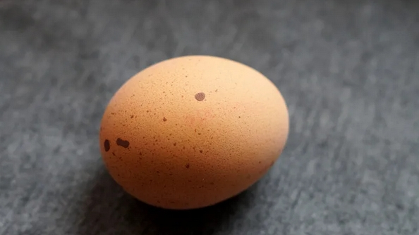 辟谣丨鸡蛋壳上“长斑点”,就不能吃了? 辟谣丨鸡蛋壳上“长斑点”,就不能吃了?