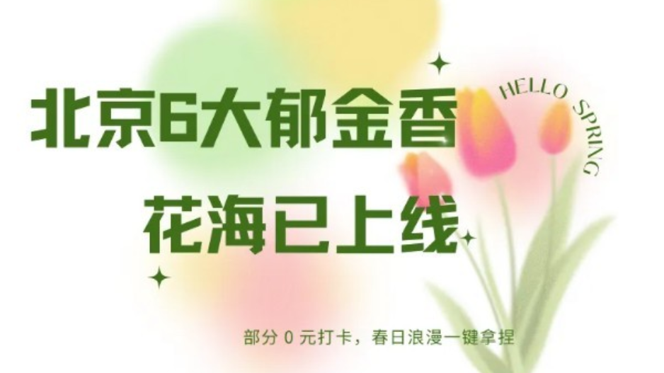 北京6大郁金香花海已上线｜附部分免费攻略