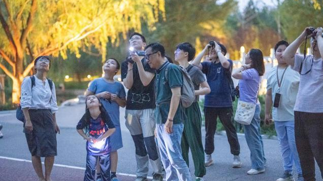 观鸟者镜头里的北京：翅尖掠动藏着生态变迁“绿”动