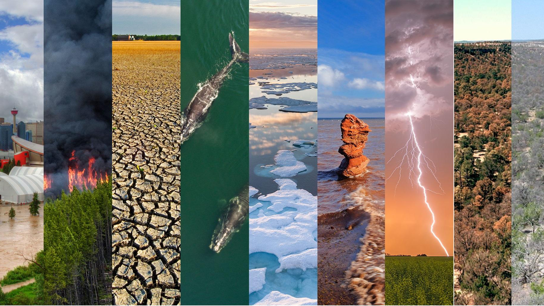 警报!地球达到首个气候临界点,意味着什么? 警报!地球达到首个气候临界点,意味着什么?