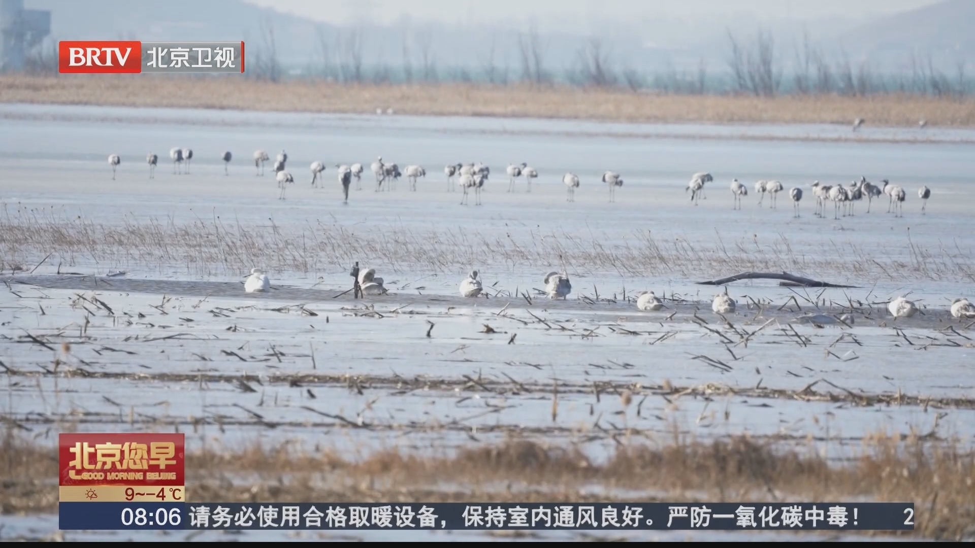 延庆区首个鸟类环志监测站揭牌 开启鸟类保护与研究新篇章