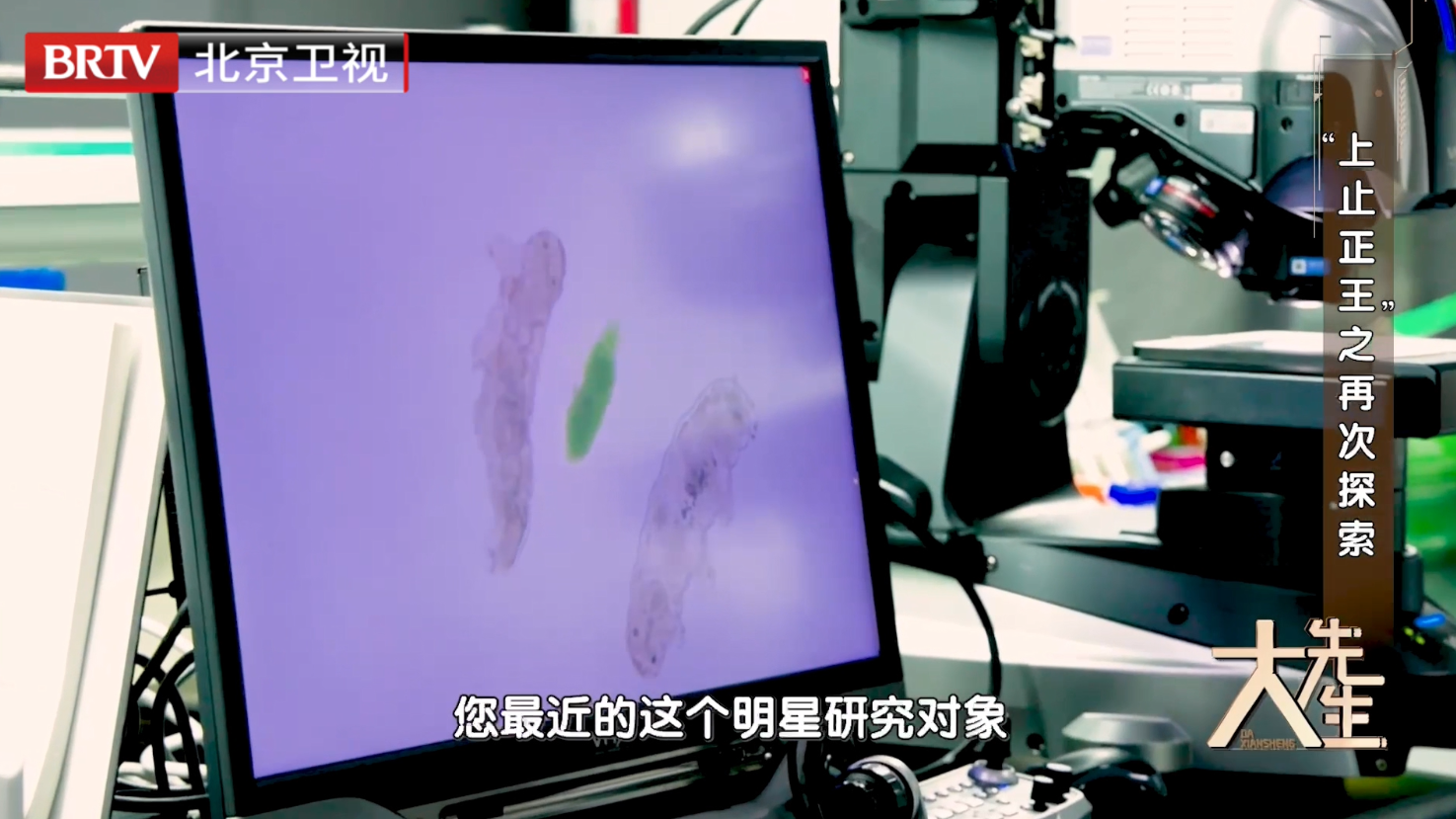 科研团队向水熊虫取经
