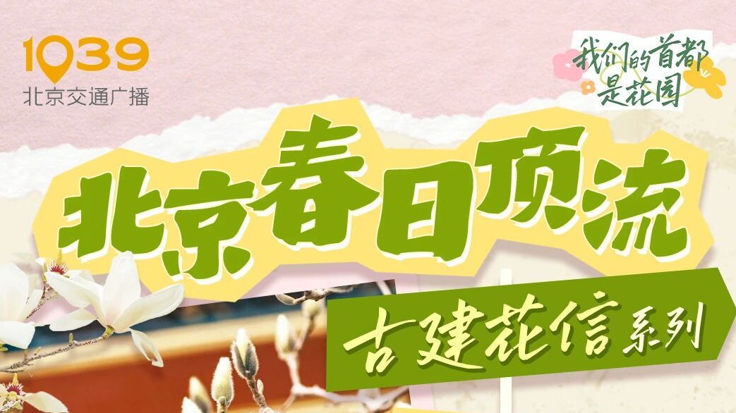 京城春日顶流上线,共赴一场百年花事! 京城春日顶流上线,共赴一场百年花事!