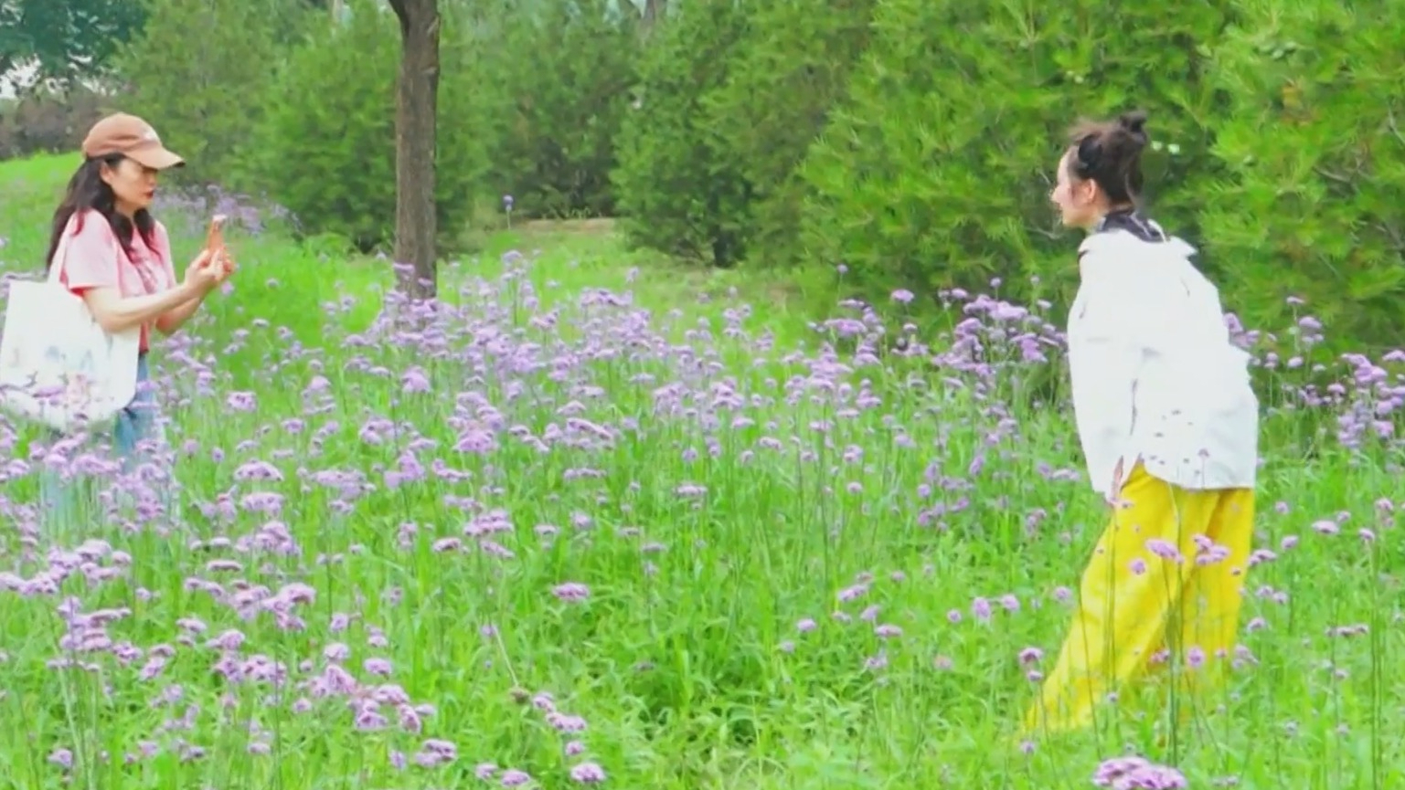 端午假期鲜花盛放 京城公园绘就夏日美景 端午假期鲜花盛放 京城公园绘就夏日美景