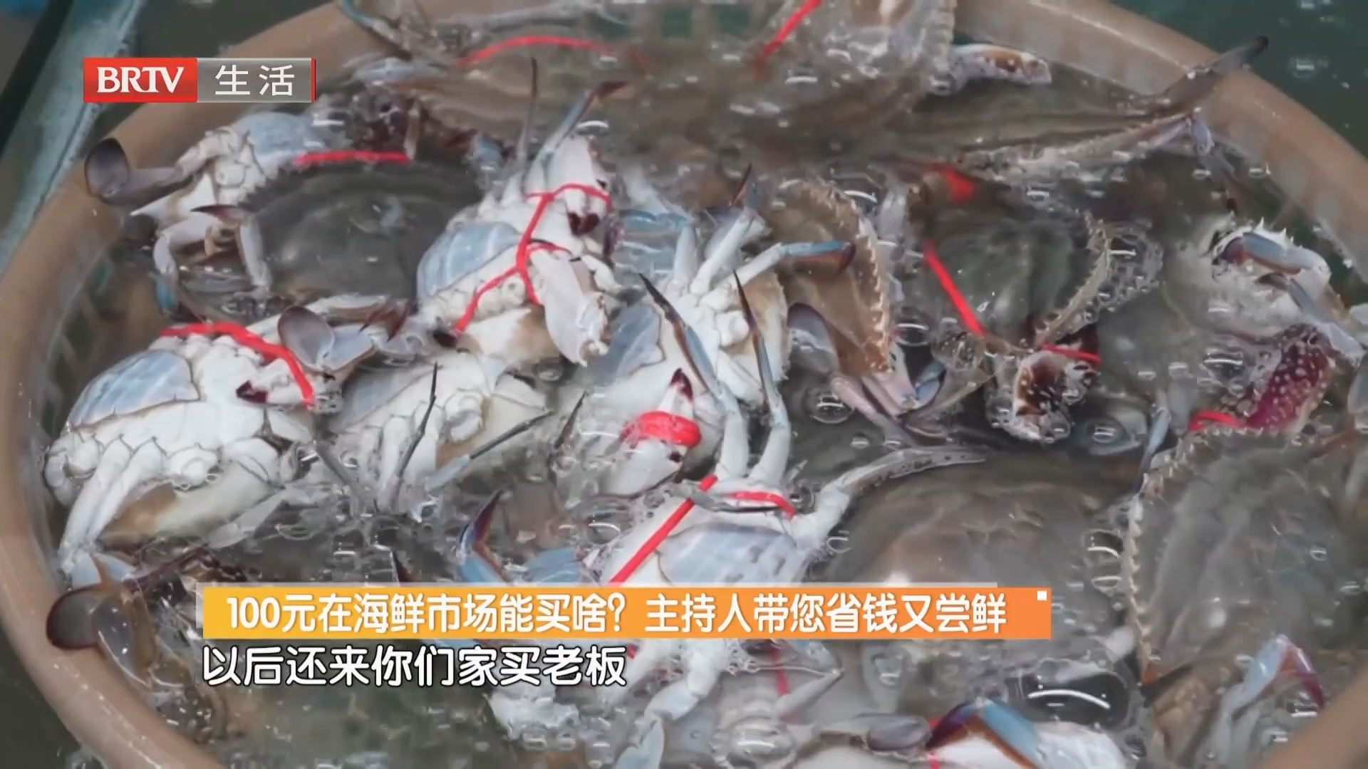 100元在海鲜市场能买啥?主持人带您省钱又尝鲜 100元在海鲜市场能买啥?主持人带您省钱又尝鲜