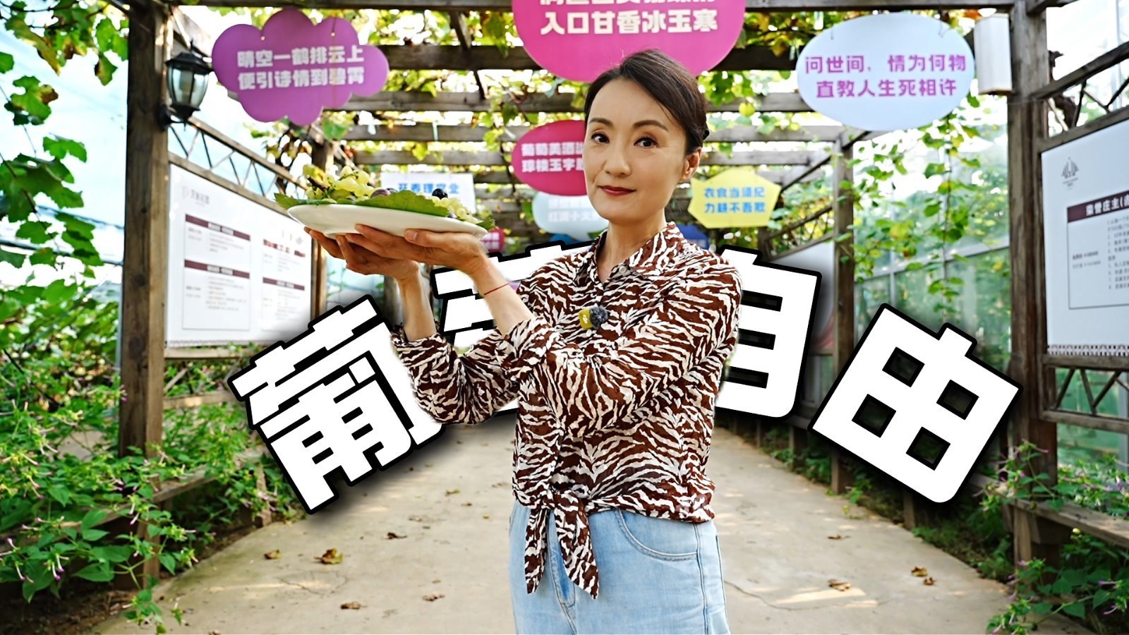 【京·花果蜜】小时候吃的葡萄，就是这个味儿！舌尖上的童年，被一口唤醒