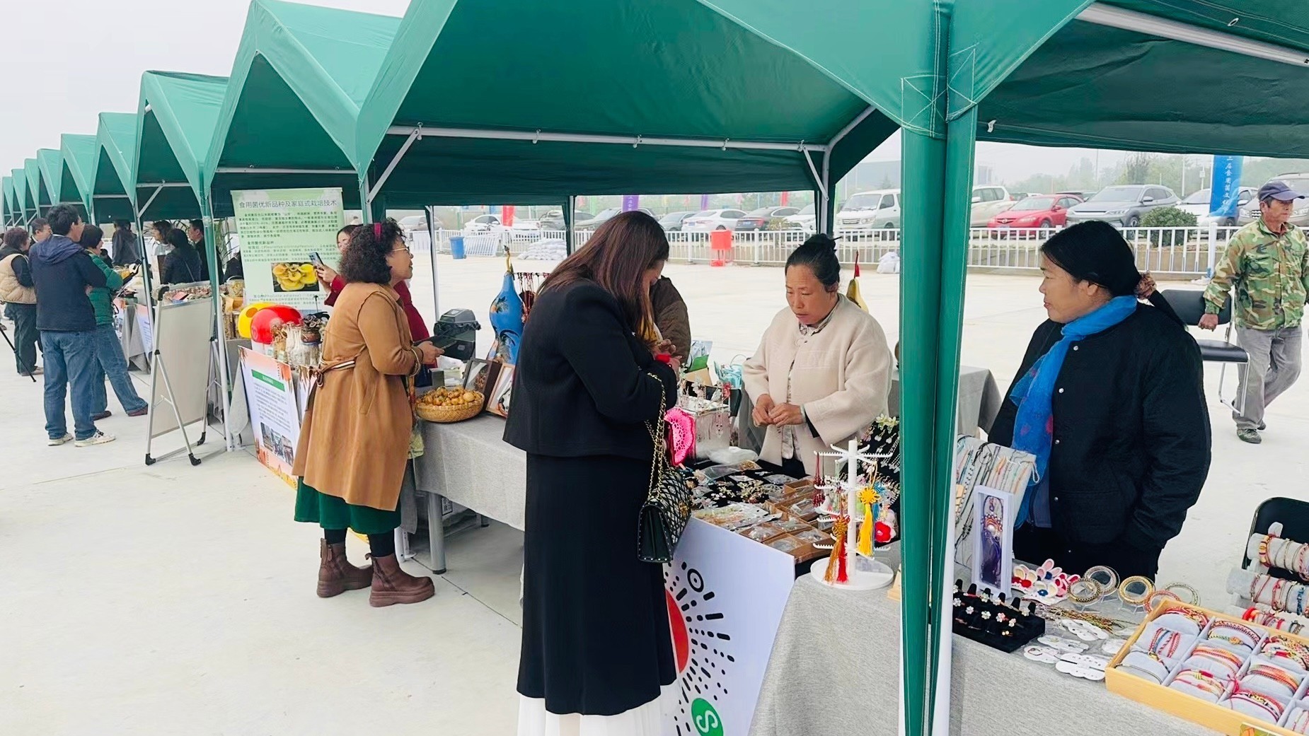 北京第二届食用菌文化节在昌开幕 北京第二届食用菌文化节在昌开幕