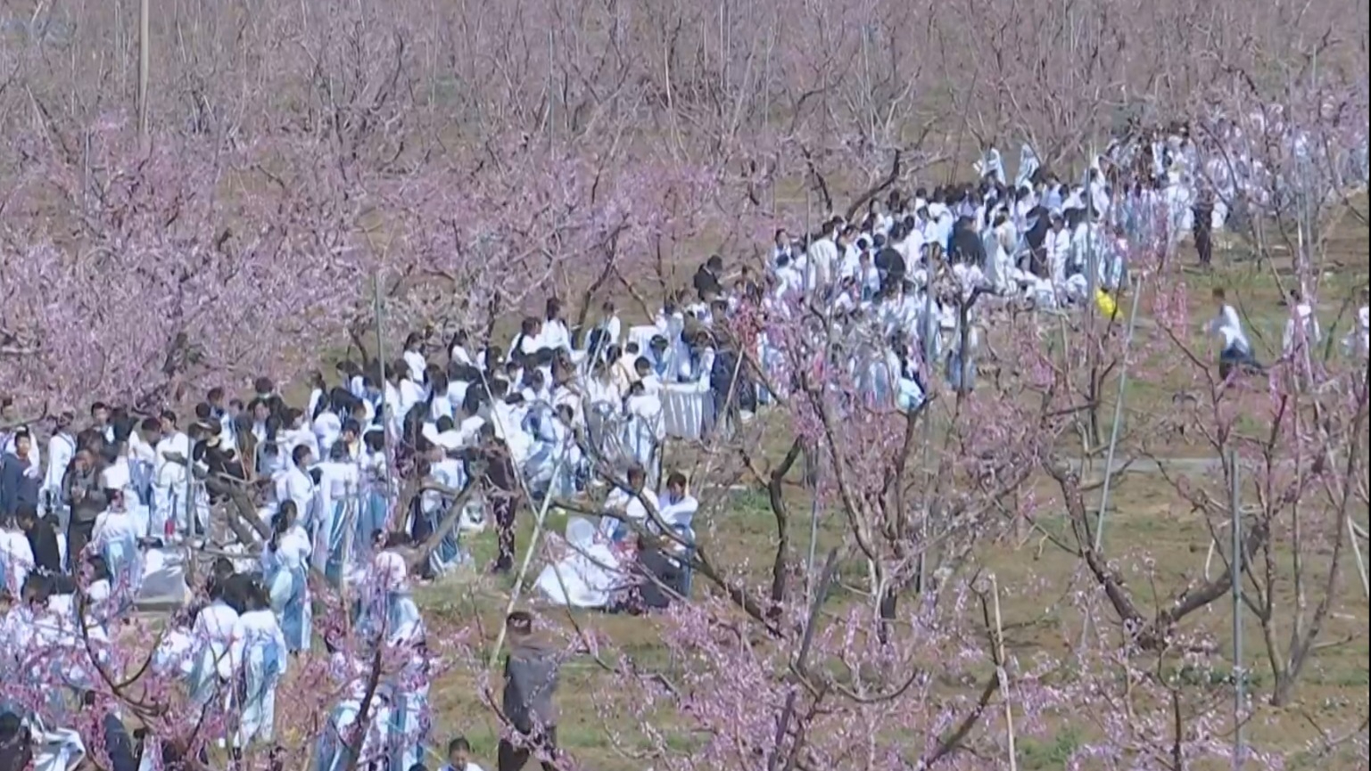 第二十七届北京平谷国际桃花节开幕