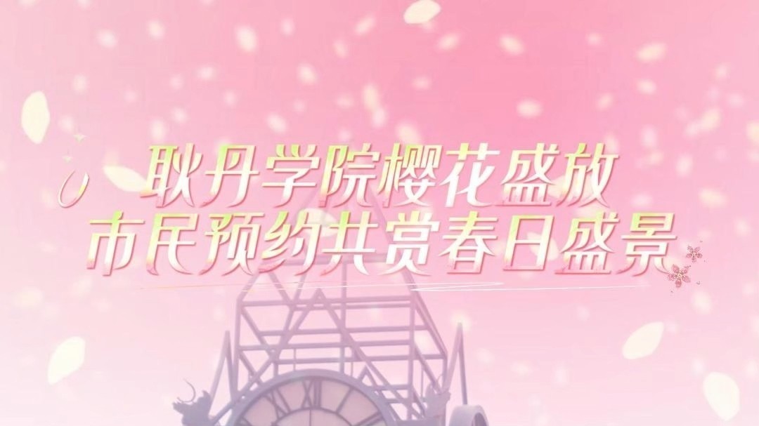 北京工业大学耿丹学院校内600余株樱花进入盛开期