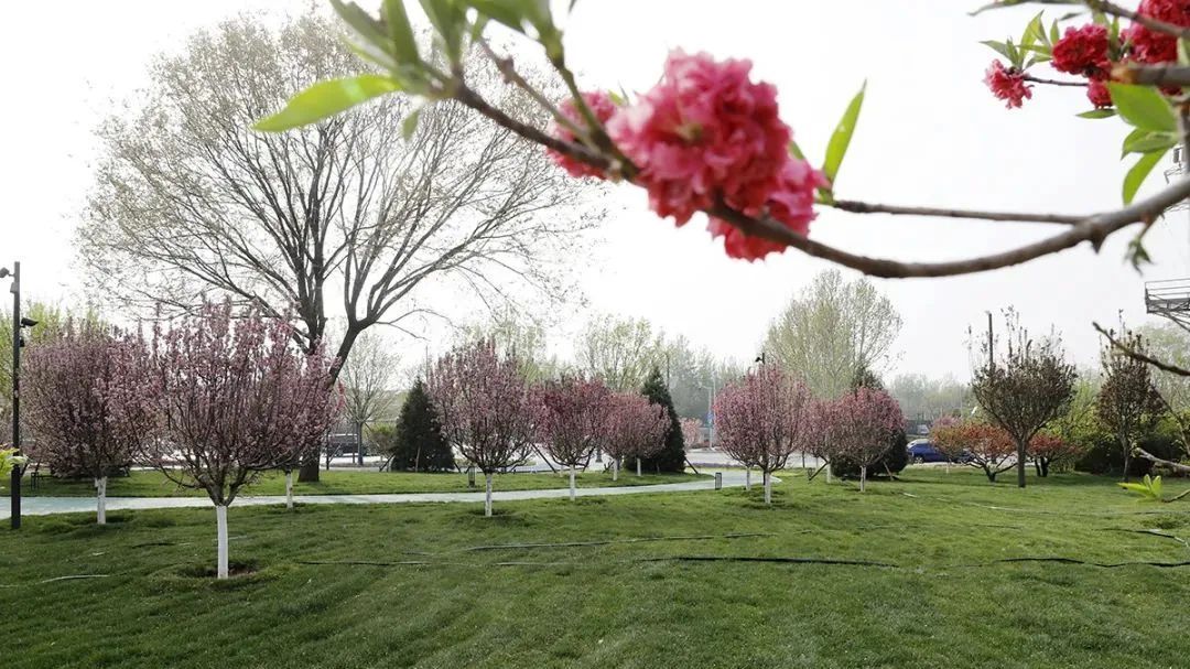 景观升级藏新意，新国展旁打造“紫气东来”新空间——