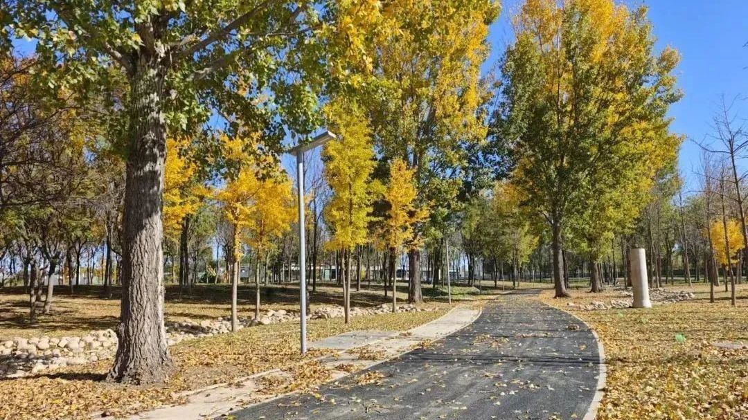 昌平这个公园,最新进展来了! 昌平这个公园,最新进展来了!