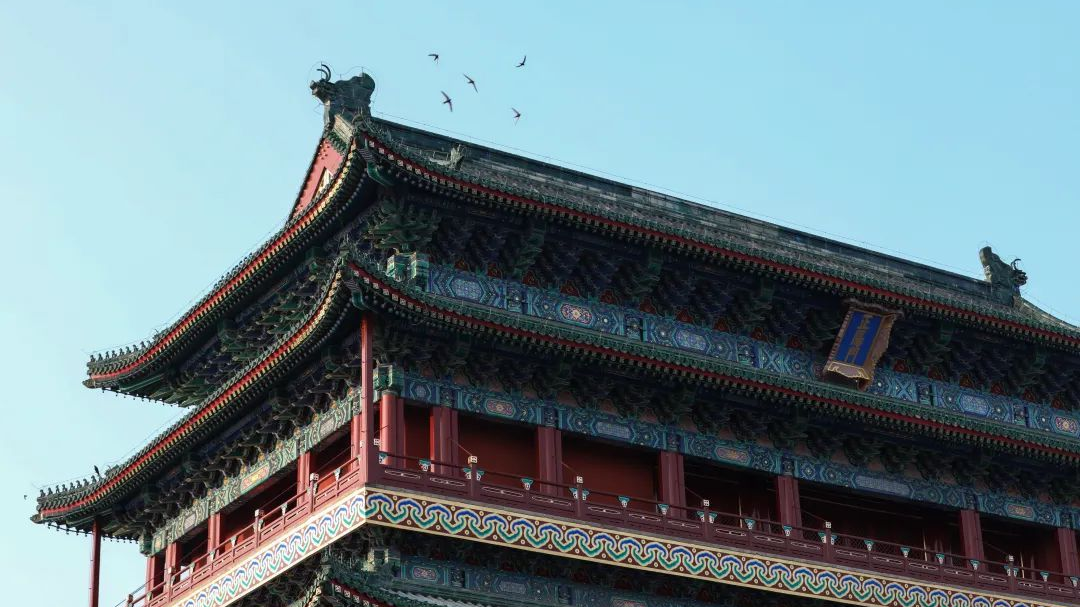 正阳燕归来|燕鸣,长安! 正阳燕归来|燕鸣,长安!