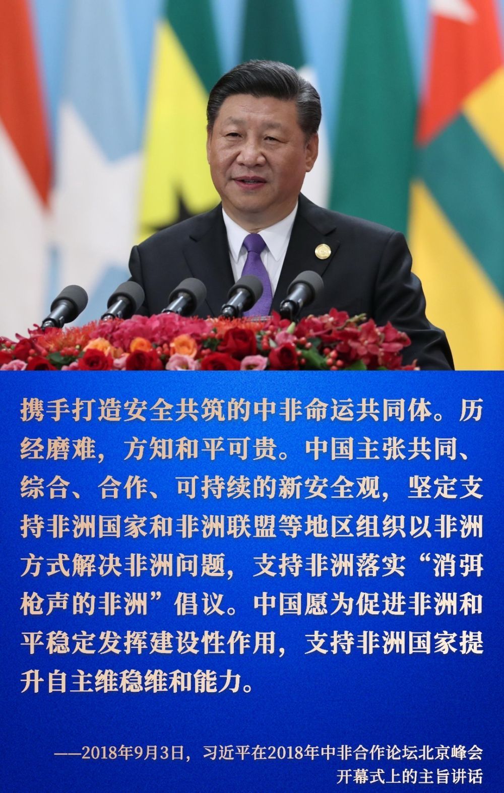 镜观·回响丨和平安全合作，支持非洲实现长治久安与和平繁荣