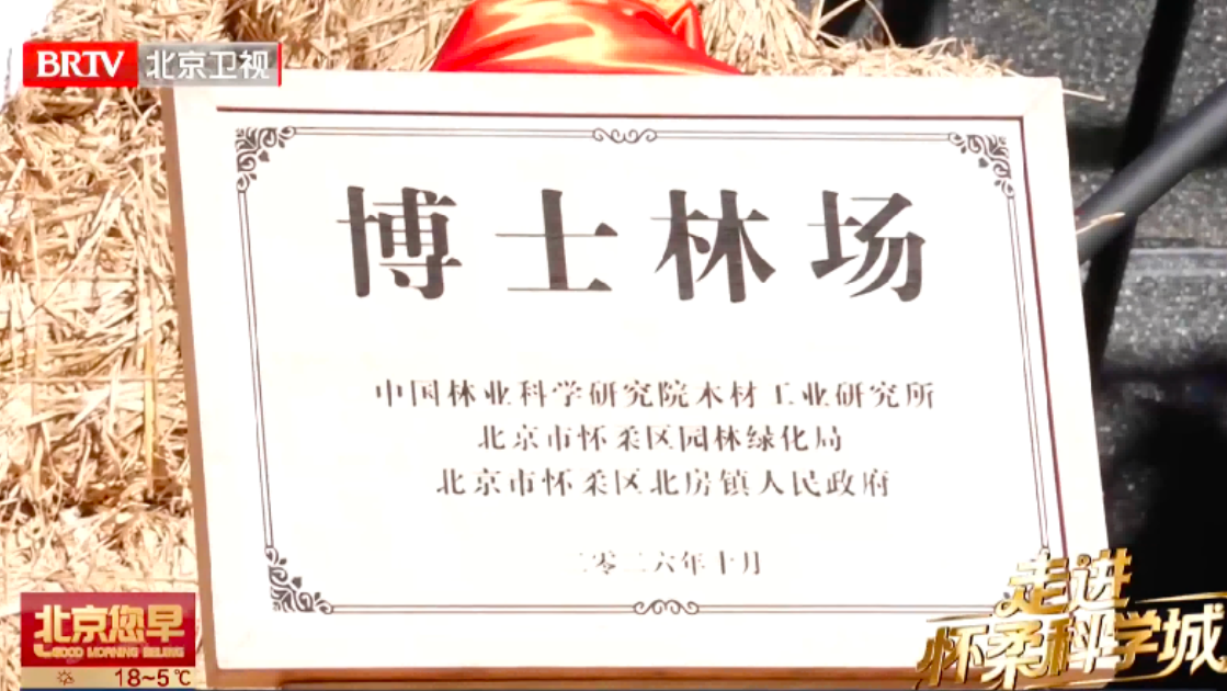 2026北京“多彩京秋”系列生态文化活动 暨红枫林木文化科学体验季启幕 2026北京“多彩京秋”系列生态文化活动 暨红枫林木文化科学体验季启幕