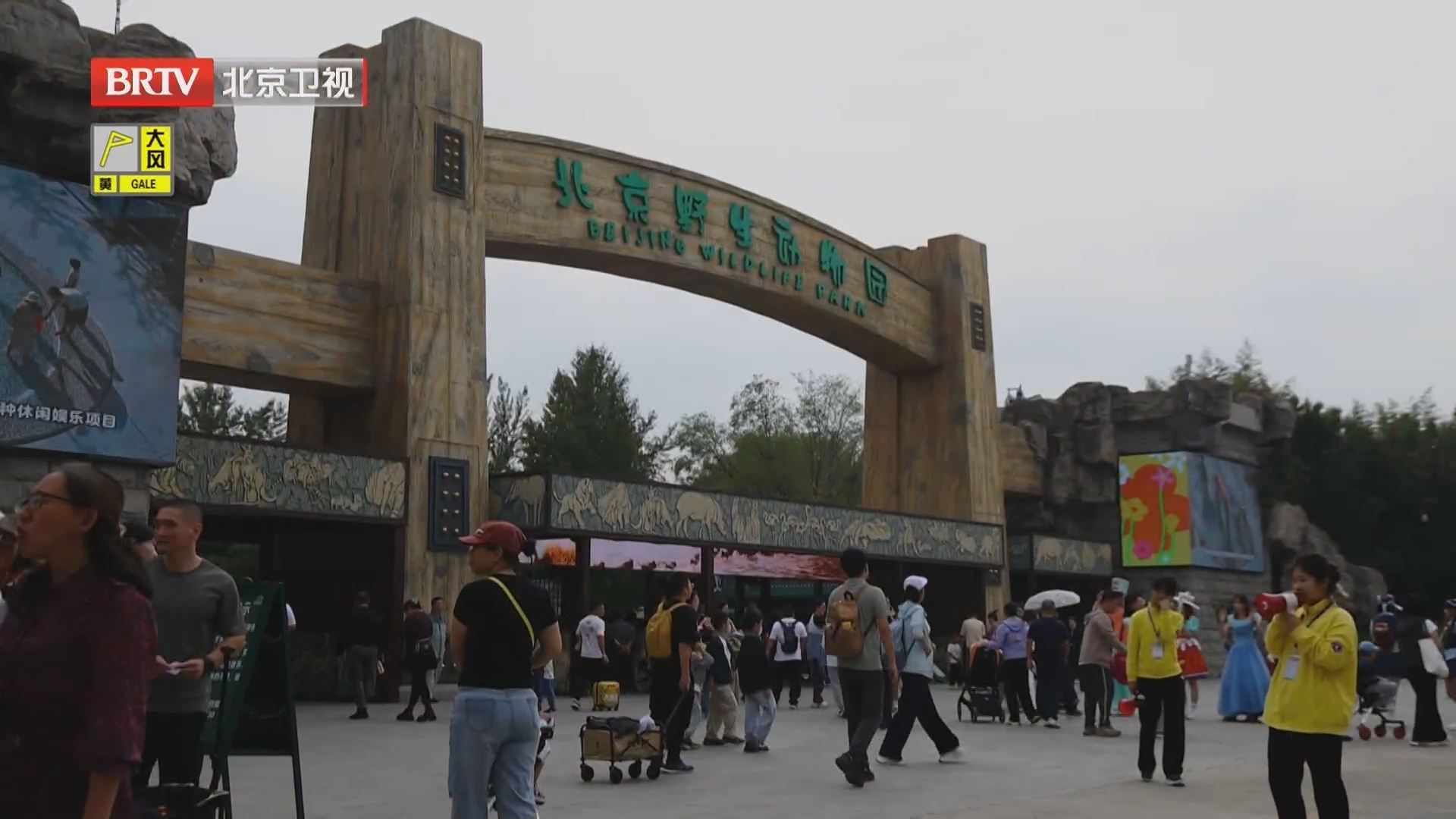 《向前一步》20251123北京野生动物园“疏堵记”