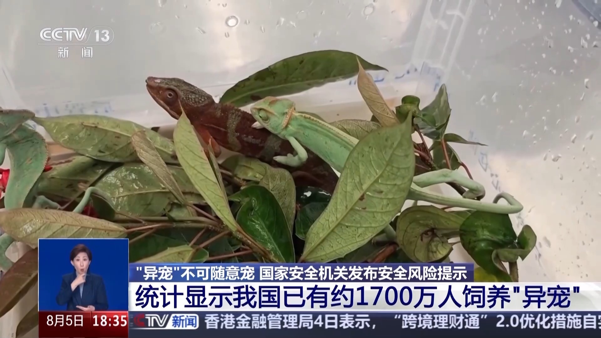 “异宠”不可随意宠 国家安全机关发布安全风险提示