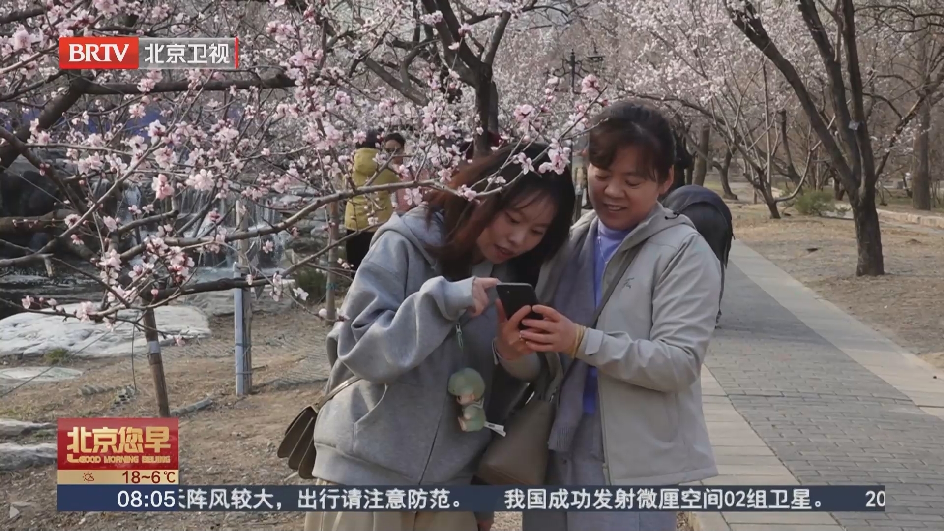 国家植物园开启桃花观赏季暨世界名花展