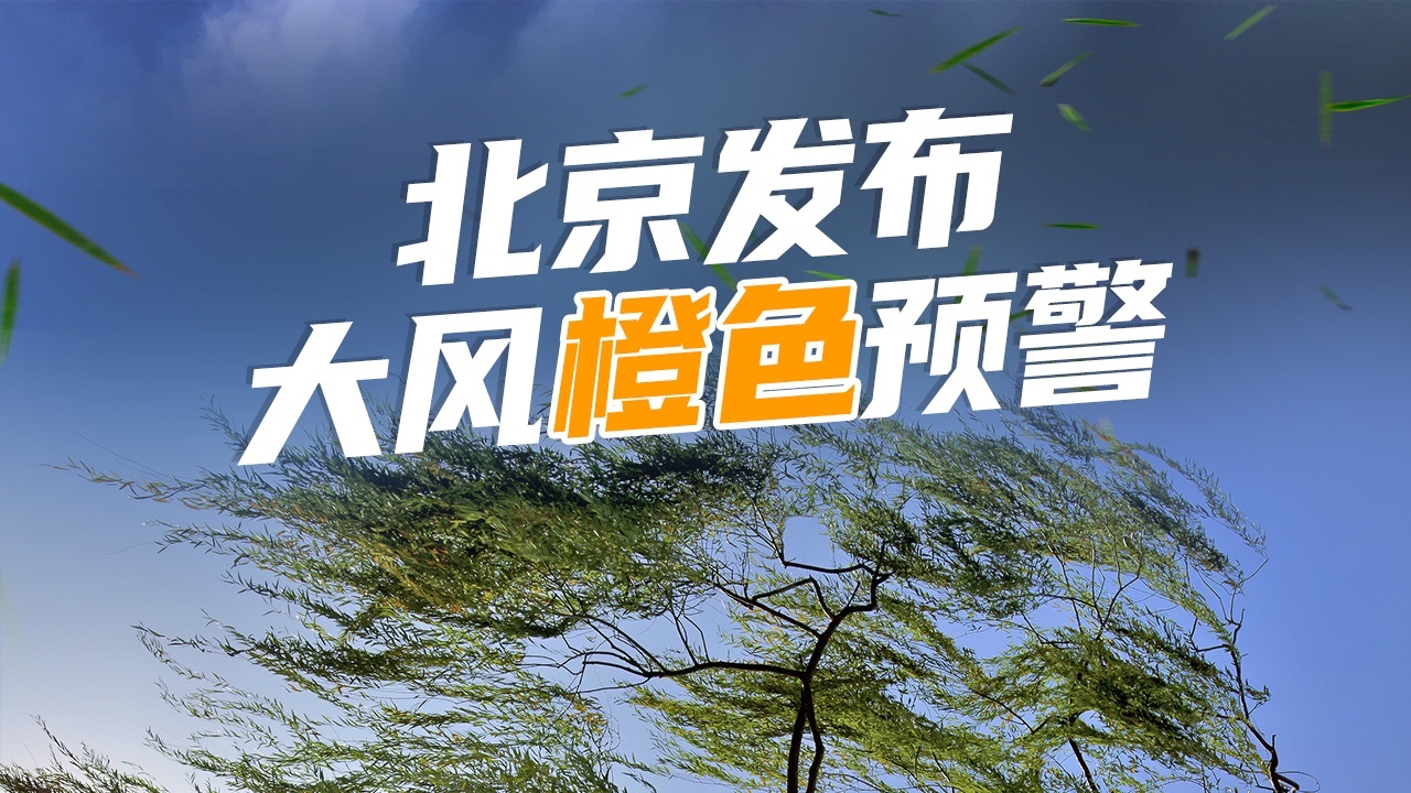 北京近10年首个全市大风橙色预警!最新海报,转发周知→ 北京近10年首个全市大风橙色预警!最新海报,转发周知→