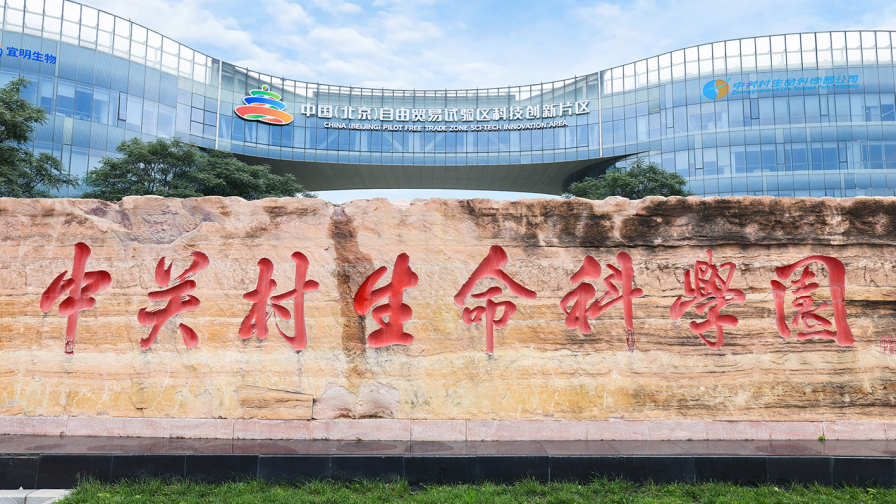 近百家新锐企业齐聚昌平脑机接口集聚区，产金聚力共话技术转化与产业落地