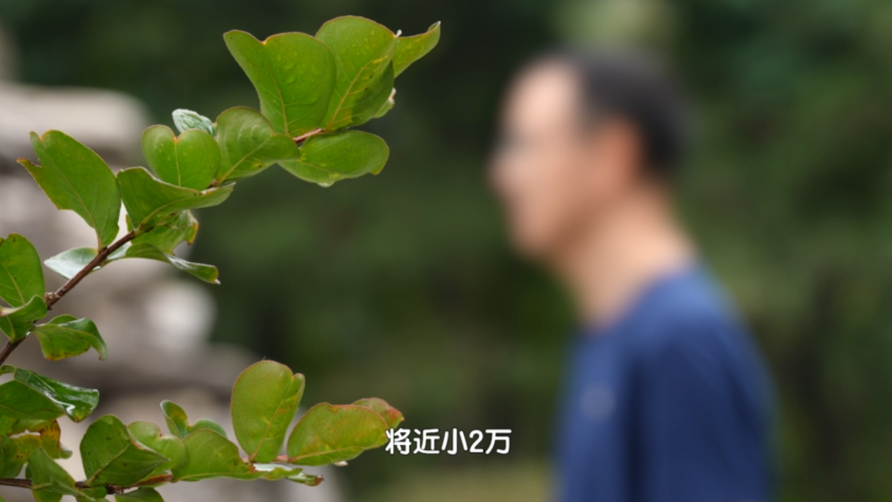 195元 关键时刻顶大用