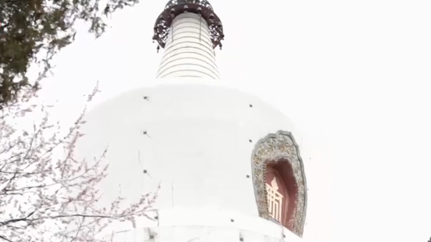 北海山桃映白塔，琼岛春阴景初现  ……